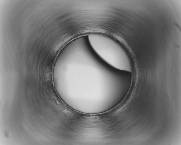 X0000102000833200807180846