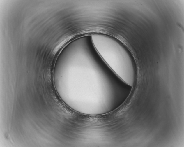 X0000102000834200807180846