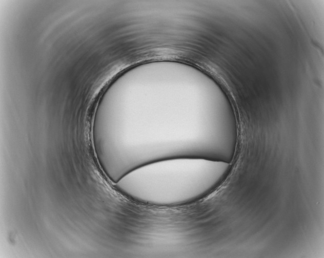 X0000102000835200807180846