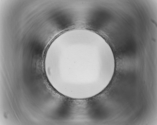X0000102000836200807180846