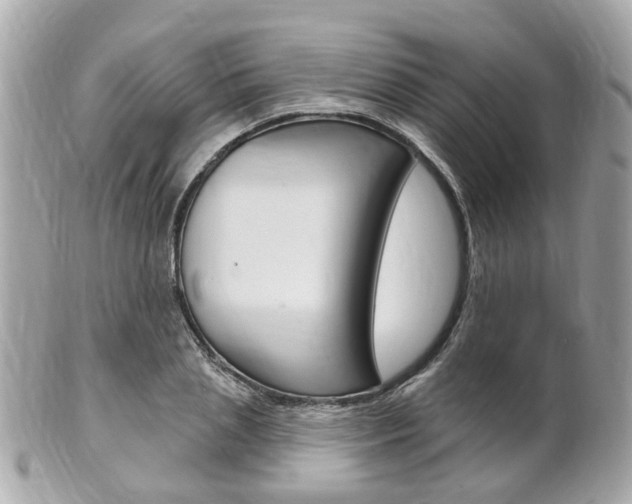 X0000102000837200807180846