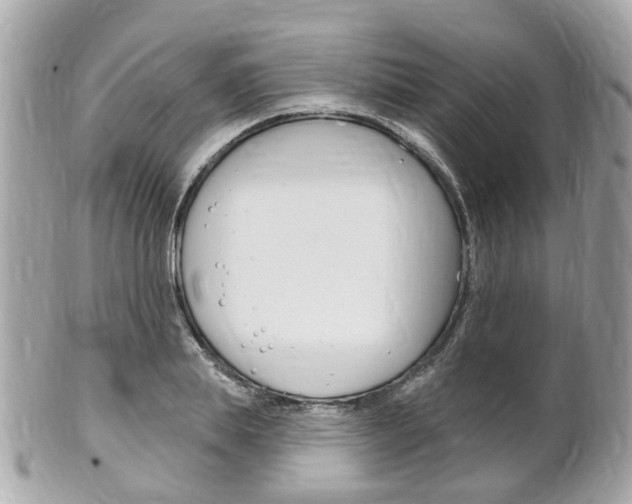 X0000102000839200807180846