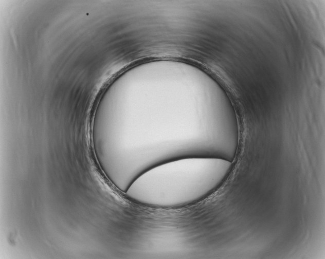 X0000102000840200807180846