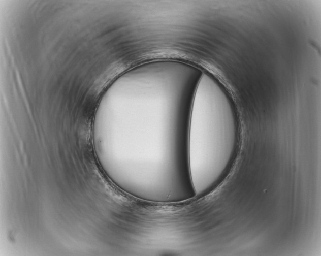 X0000102000841200807180846