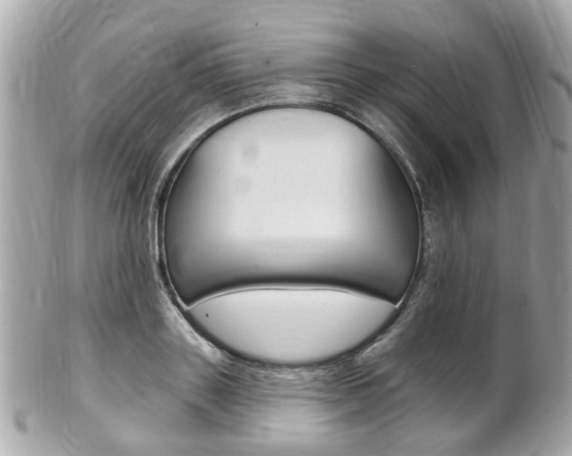 X0000102000843200807180846