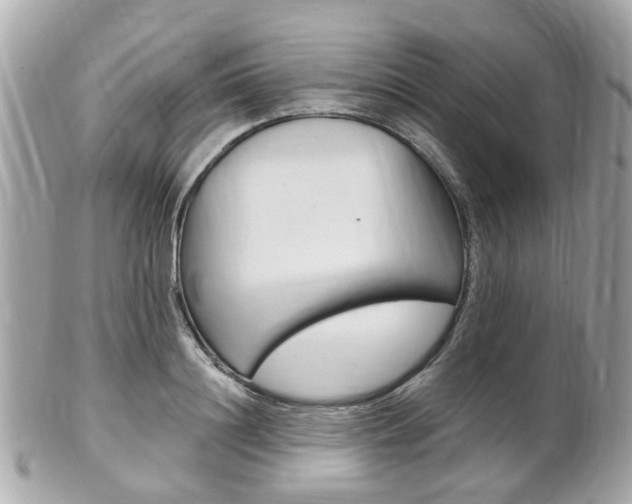 X0000102000844200807180846
