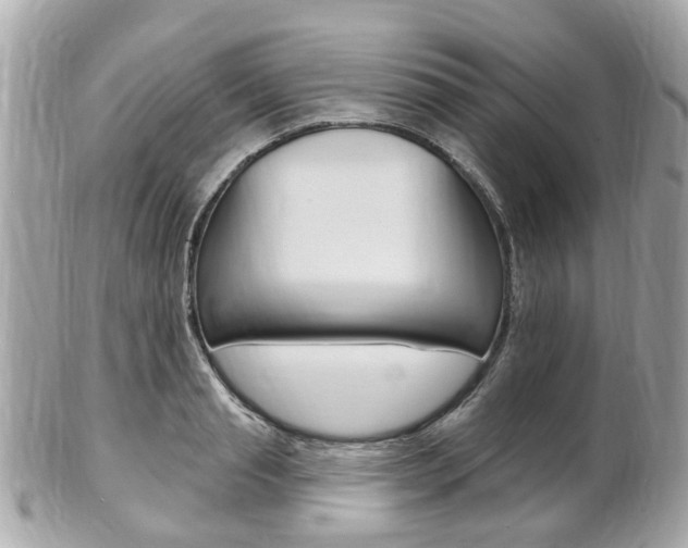X0000102000845200807180846
