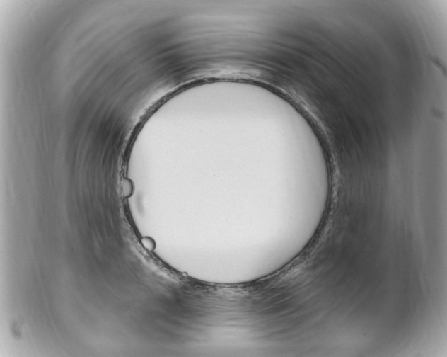 X0000102000848200807180847
