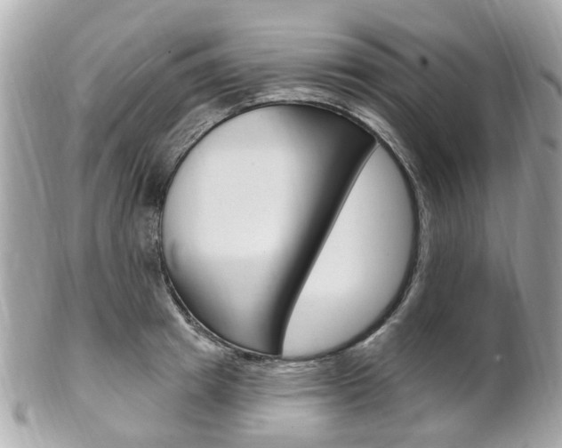 X0000102000849200807180847