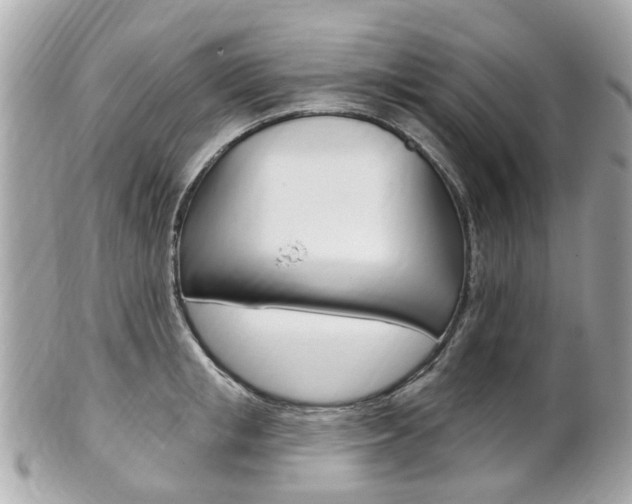 X0000102000853200807180847