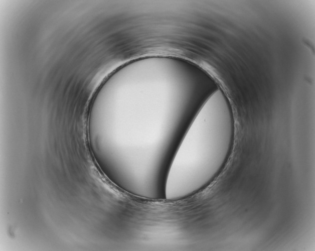 X0000102000854200807180847