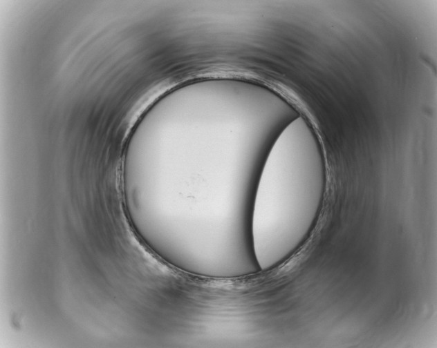 X0000102000855200807180847
