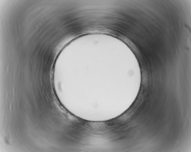 X0000102000856200807180847