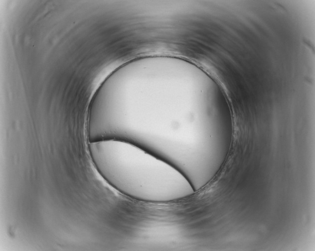 X0000102000863200807180847