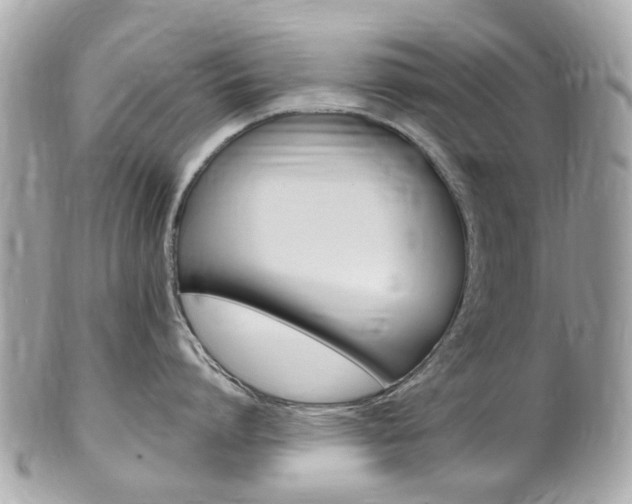 X0000102000864200807180847