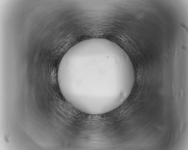 X0000102000866200807180846