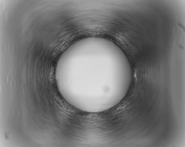 X0000102000867200807180846