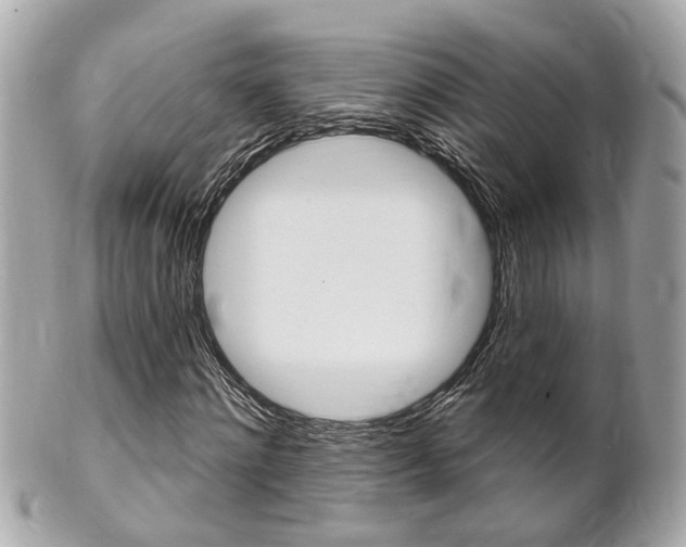X0000102000868200807180846
