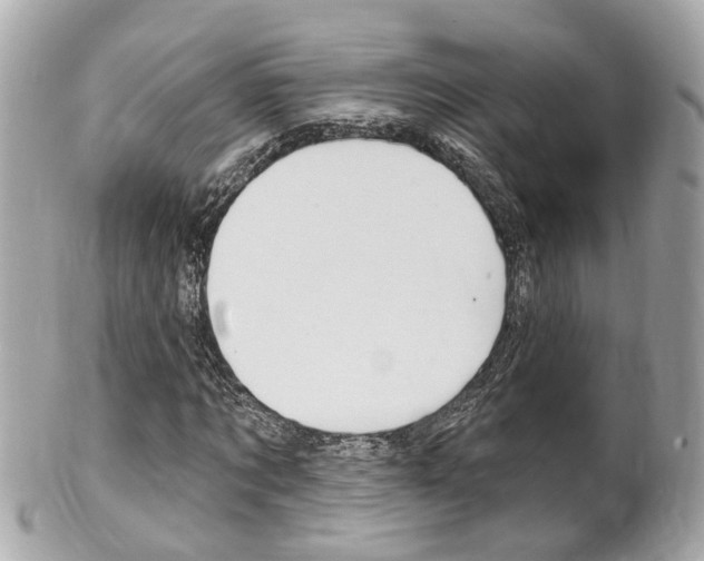 X0000102000869200807180846