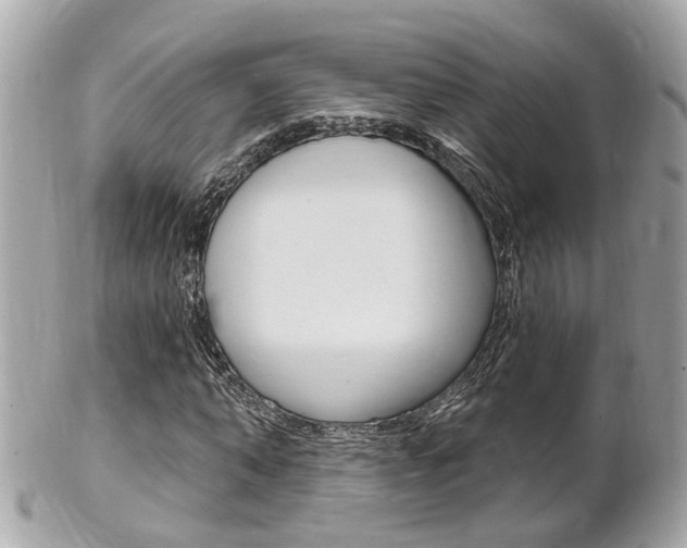 X0000102000870200807180846
