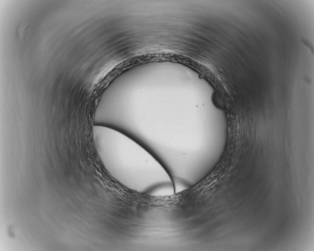 X0000102000871200807180846