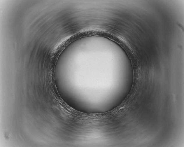 X0000102000872200807180846