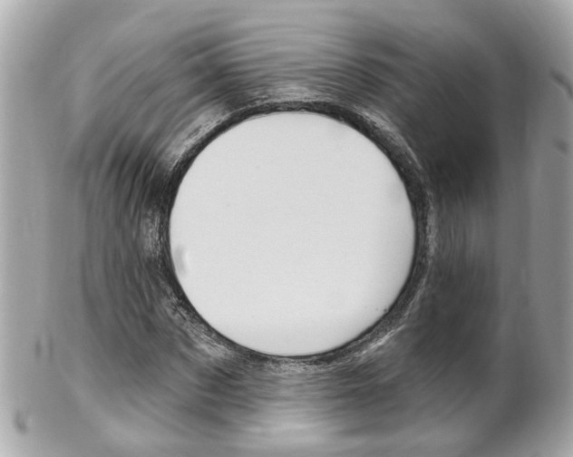 X0000102000873200807180846