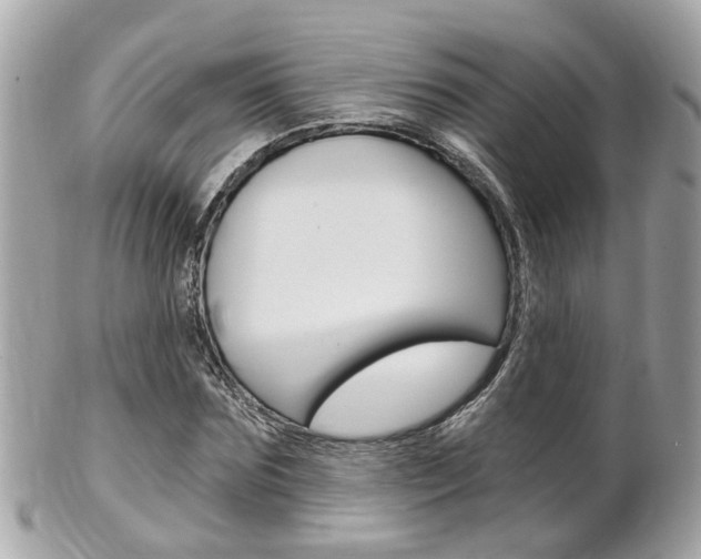 X0000102000875200807180846