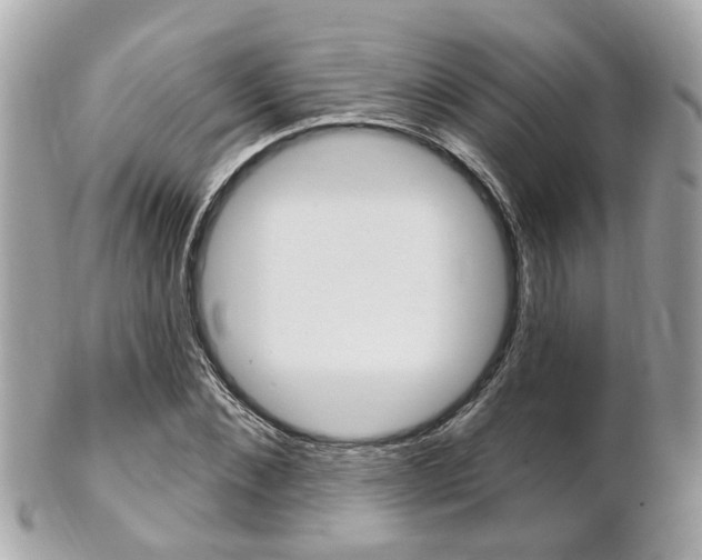 X0000102000876200807180846