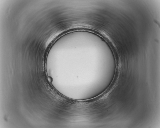 X0000102000877200807180846