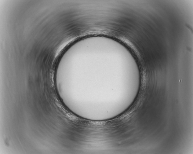 X0000102000878200807180846