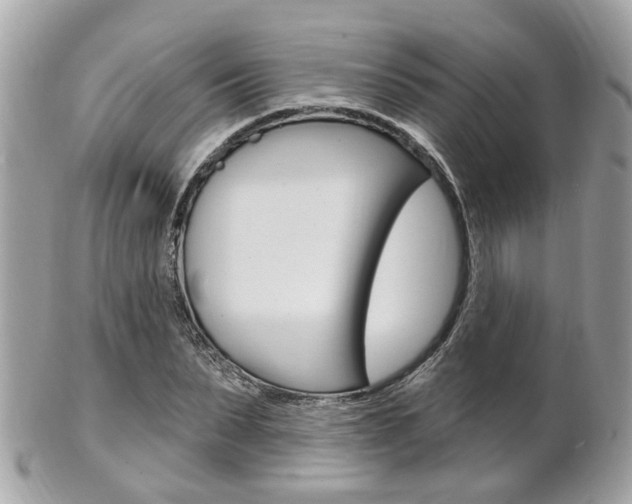 X0000102000879200807180846