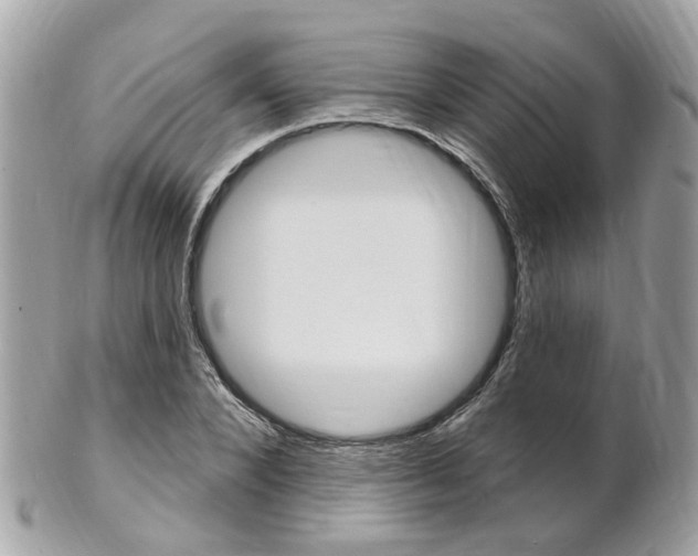 X0000102000880200807180846