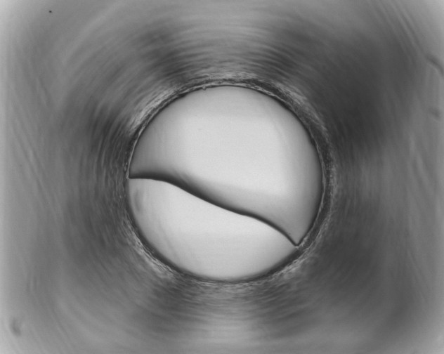X0000102000881200807180846