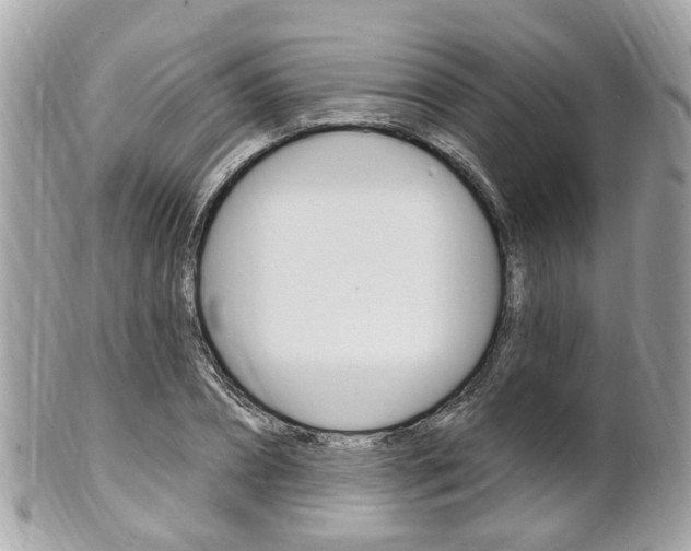 X0000102000882200807180846