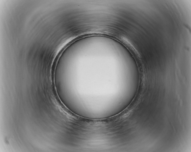 X0000102000884200807180846
