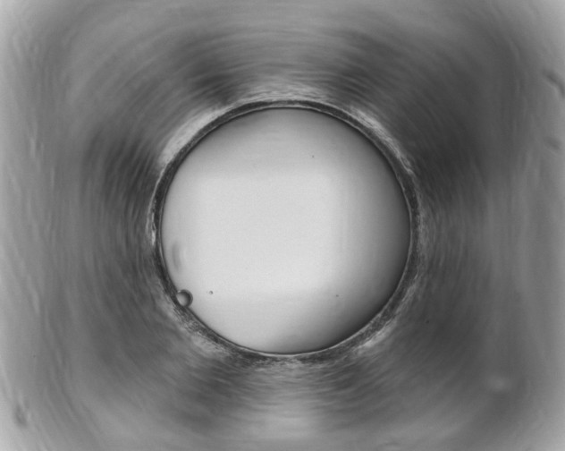X0000102000885200807180846