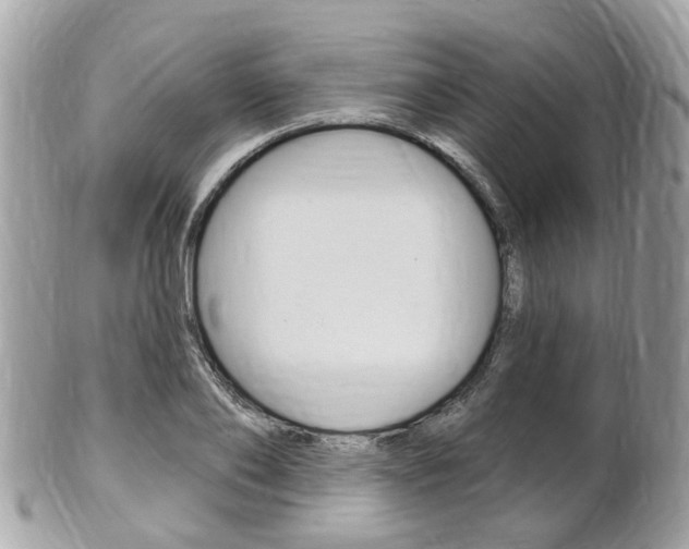 X0000102000886200807180846