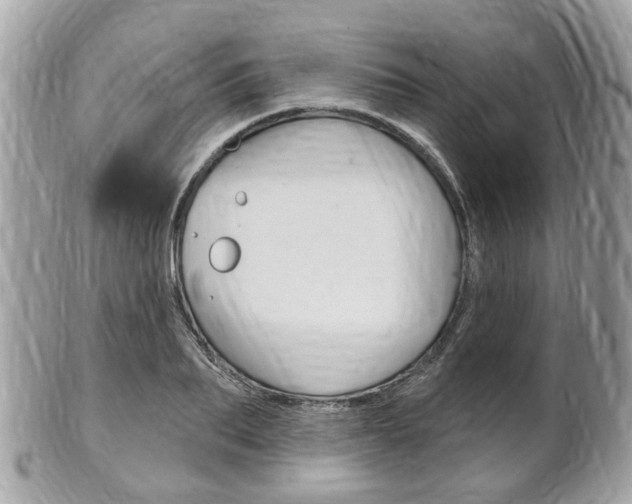 X0000102000887200807180846