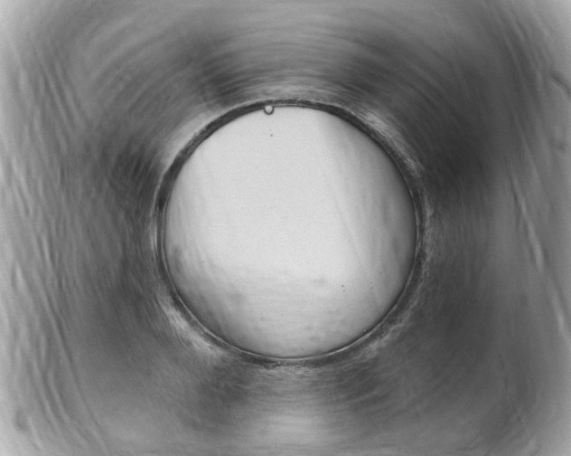 X0000102000888200807180846