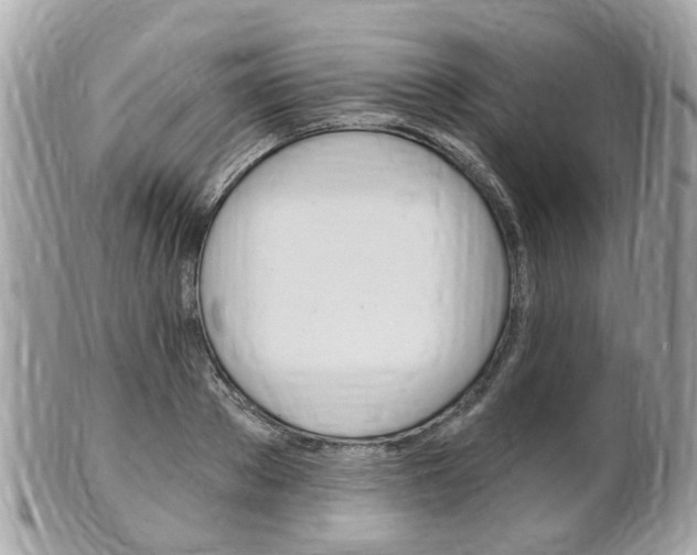 X0000102000889200807180846