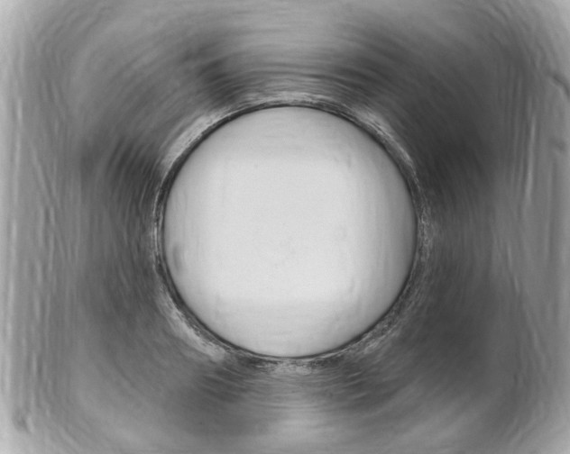 X0000102000890200807180846