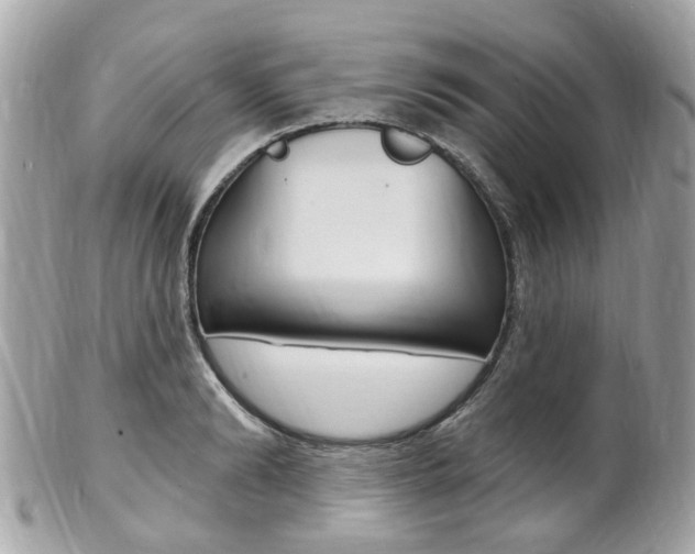 X0000102000894200807180846