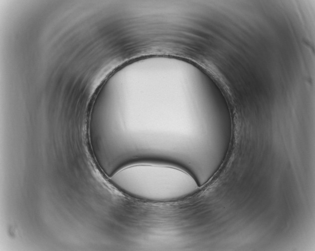 X0000102000896200807180846