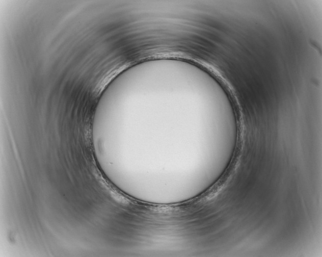 X0000102000897200807180846
