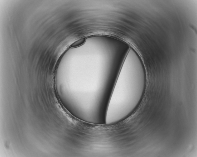 X0000102000898200807180846