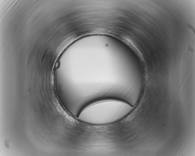 X0000102000900200807180846