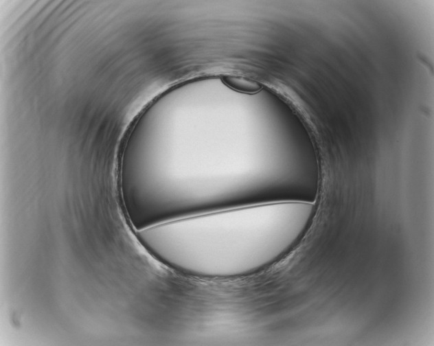 X0000102000902200807180846