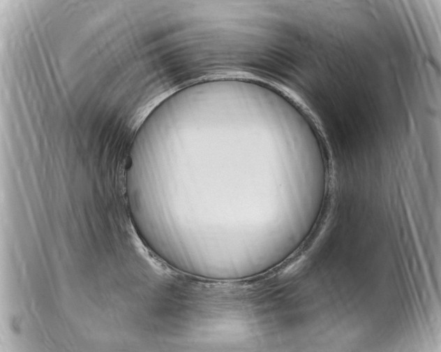 X0000102000905200807180846