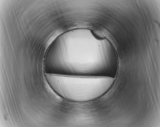 X0000102000906200807180845